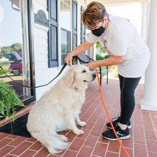 Contact-Free Dog Walking​