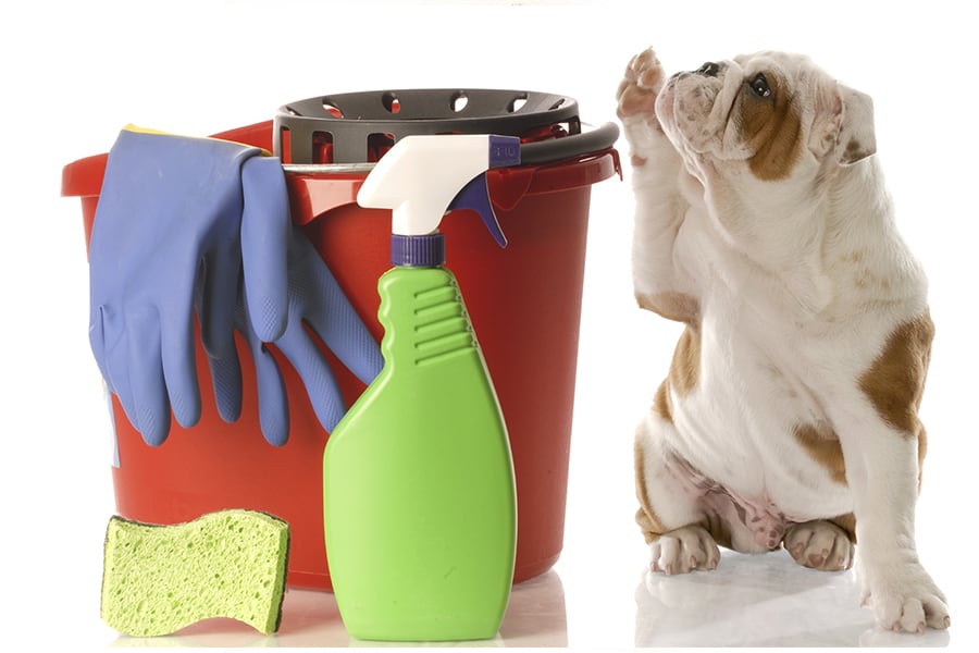 Cleaning Tips