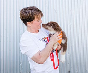 Tobaccoville Dog Walking and Pet Sitting Services